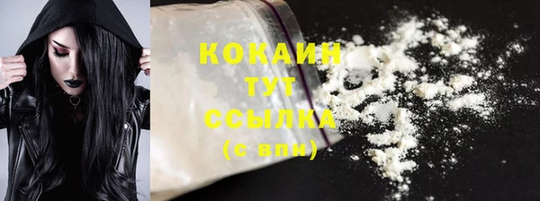 винт Гусь-Хрустальный