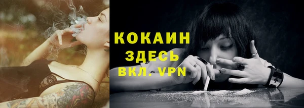 дживик Гусиноозёрск