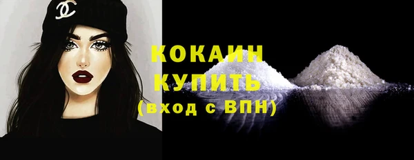 винт Гусь-Хрустальный