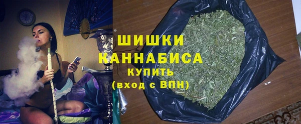 винт Гусь-Хрустальный