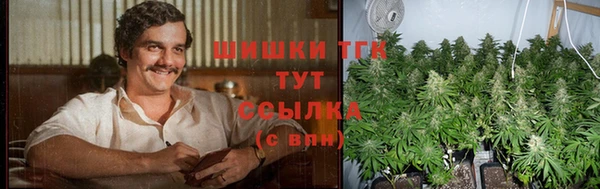 винт Гусь-Хрустальный