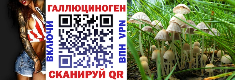 МЕГА сайт  Гусев  Псилоцибиновые грибы мицелий 