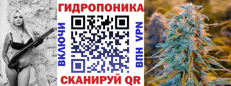 цена наркотик  Гусев  дарк нет какой сайт  Бошки марихуана Ganja 